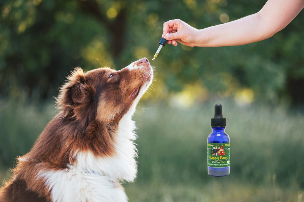 best cbd products for dogs